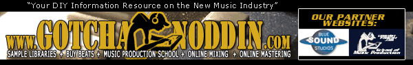 Gotchanoddin.com
